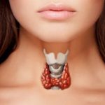 metabolismo accelerato | metabolismo fermo perche si ingrassa in menopausa