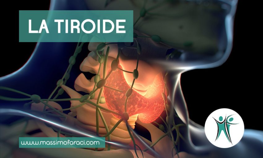 Tiroide
