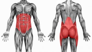Core-Stability