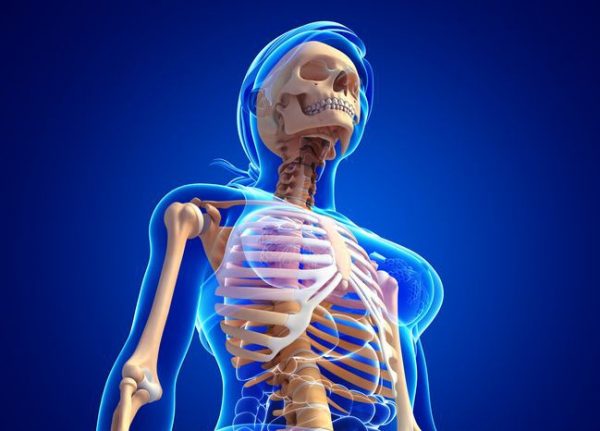 Anatomia del corpo umano, sapete quanti muscoli e ossa abbiamo? A cosa