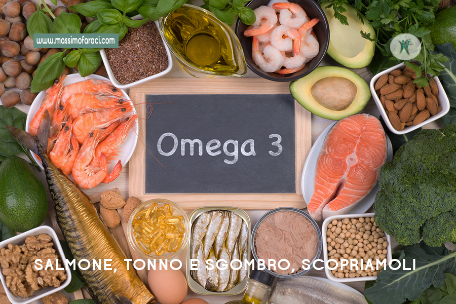 Alla scoperta del salmone, tonno e sgombro