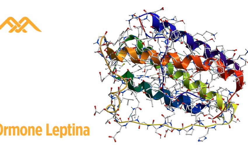 Leptina